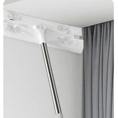Serpilliere sur mur